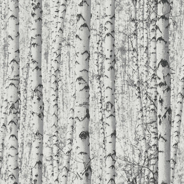 Galerie Birch Tree Motif BW51006