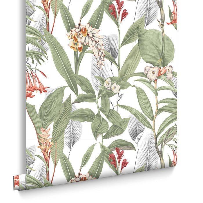 Graham & Brown Botanical Powder Wallpaper