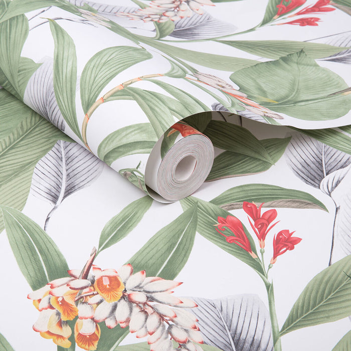 Graham & Brown Botanical Powder Wallpaper