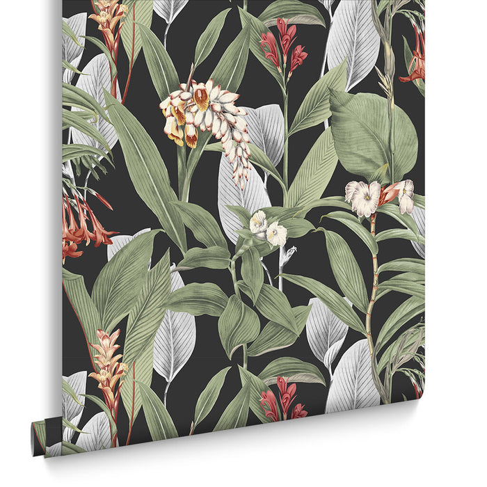 Graham & Brown Botanical Black Wallpaper