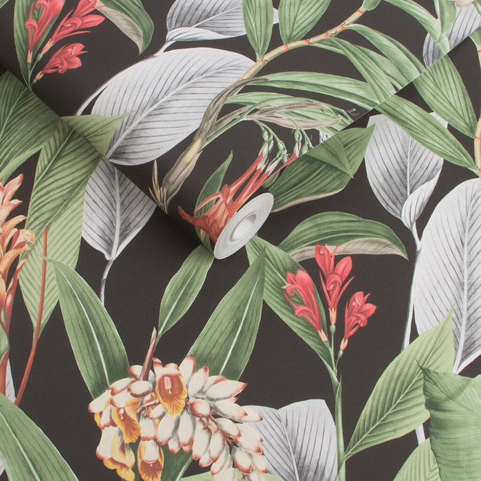 Graham & Brown Botanical Black Wallpaper