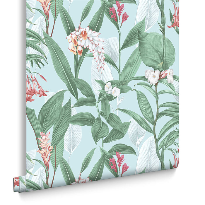 Graham & Brown Botanical Duckegg Wallpaper