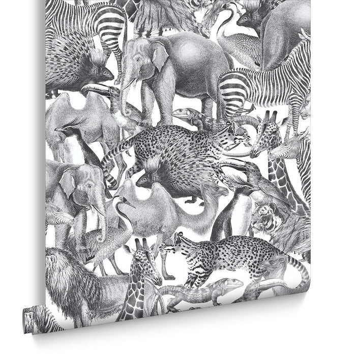 Graham & Brown Kingdom Wallpaper 105474 Zebra