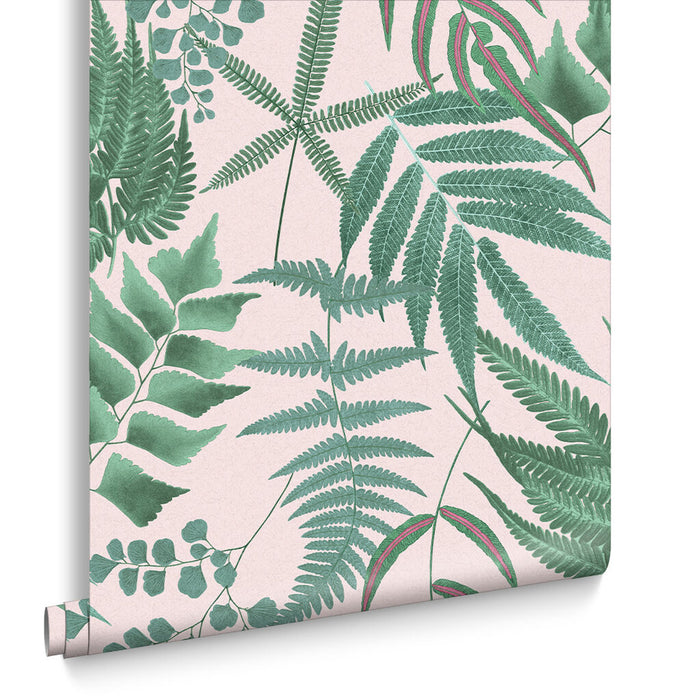 Graham & Brown Midsummer Fern 107878 Blush