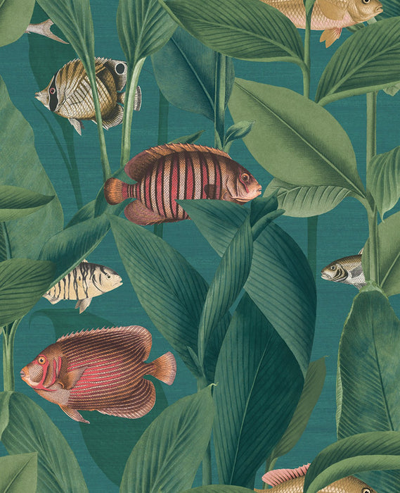 Graham & Brown Aquarium Teal Wallpaper