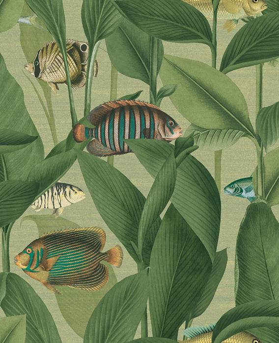 Graham & Brown Aquarium Green Wallpaper