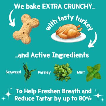 Park Life Brush-Bix Dog Biscuits Turkey & Peppermint 100g