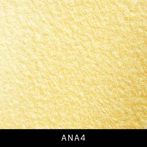 Ferrara Design Angelo Decorative Paint