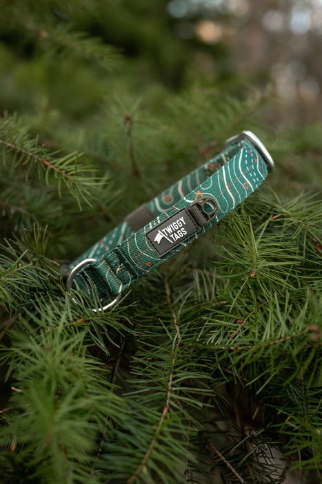 Twiggy Tags Apex Collar Nomad