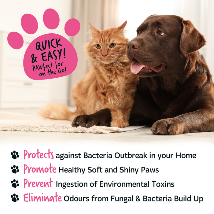 Bugalugs Baby Fresh No-Rinse Paw Cleaner for Dogs & Cats