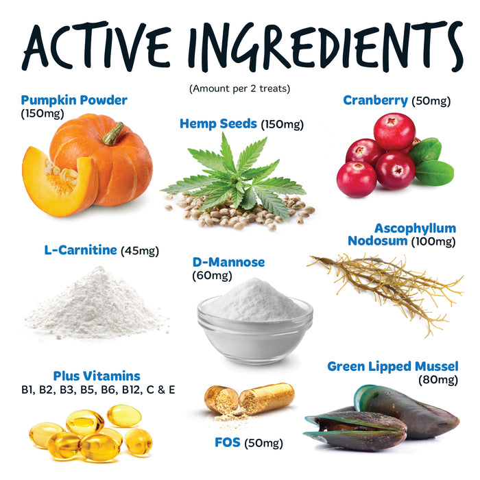 Bugalugs Itch & Immunty Chews 120x