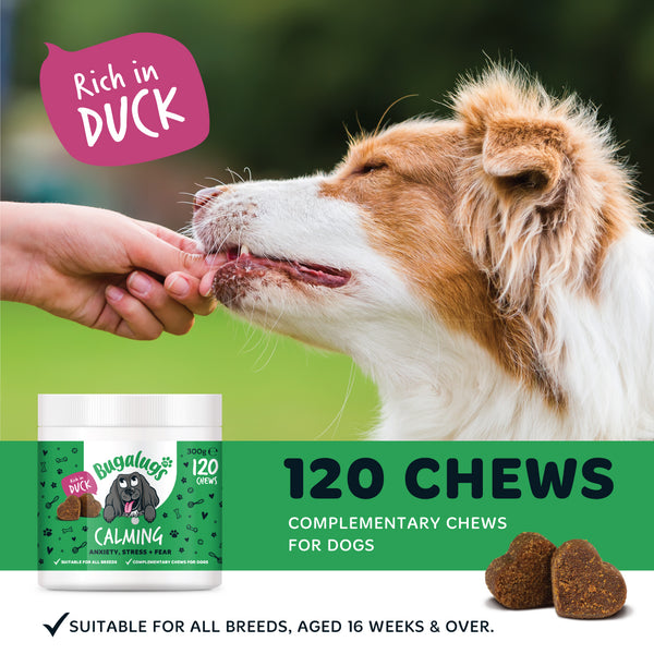 Bugalugs Calming Supplement Chews for dogs 120x