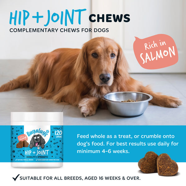 Bugalugs Hip & Joint Supplement Chews for dogs 120x