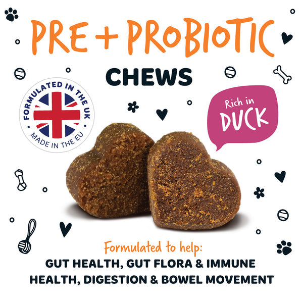 Bugalugs Pre & Probiotic Supplement Chews for dogs 120x