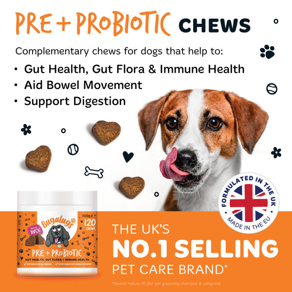 Bugalugs Pre & Probiotic Supplement Chews for dogs 120x