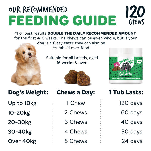 Bugalugs Calming Supplement Chews for dogs 120x