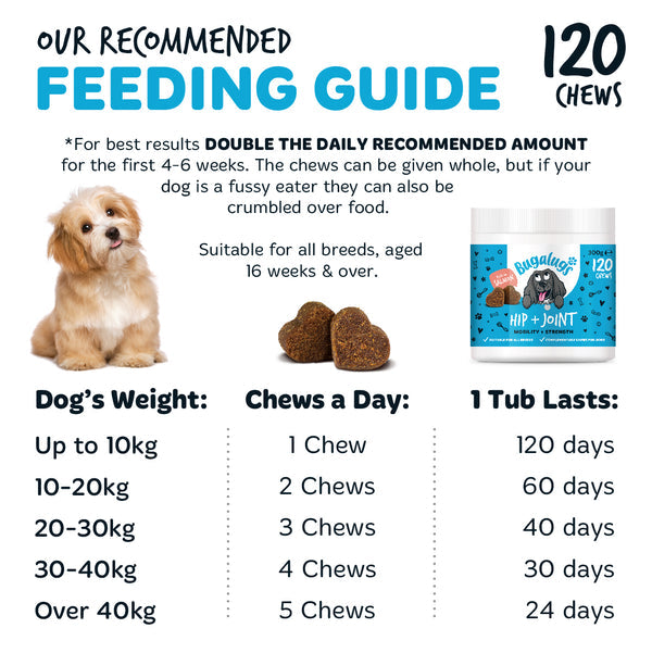 Bugalugs Hip & Joint Supplement Chews for dogs 120x