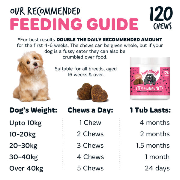 Bugalugs Itch & Immunty Supplement Chews for dogs 120x