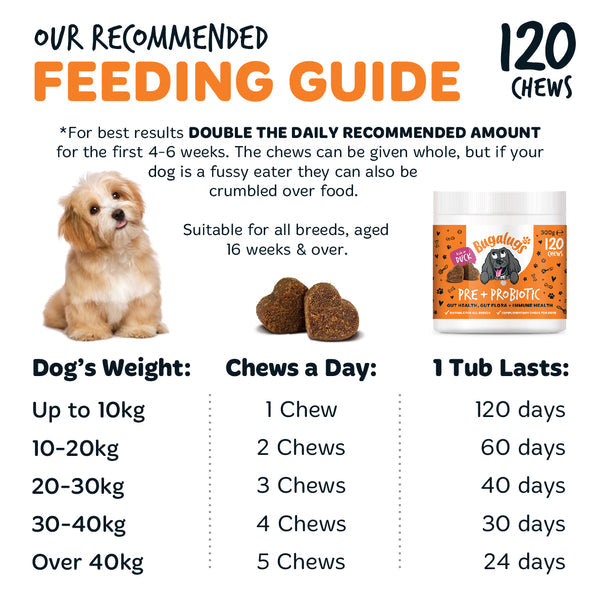 Bugalugs Pre & Probiotic Supplement Chews for dogs 120x