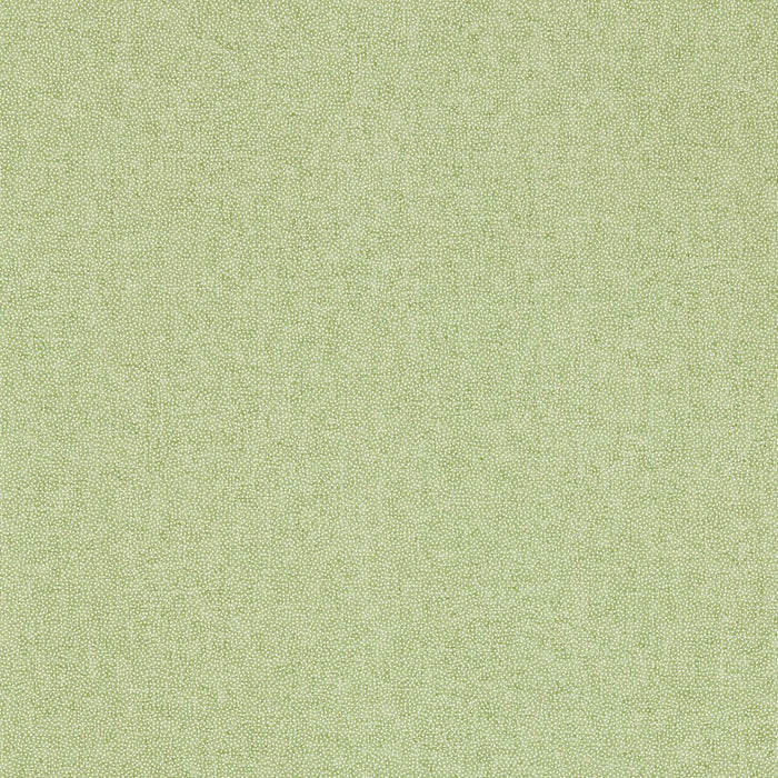 Sessile Plain Moss Green Wallpaper