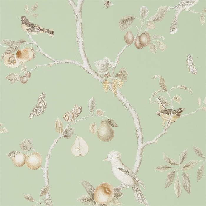 Fruit Aviary Sage/Neutral Wallpaper