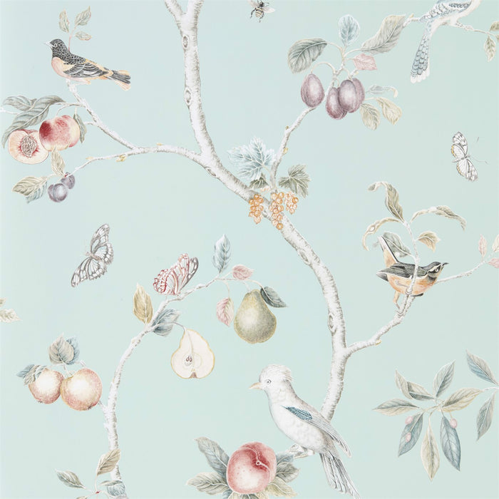 Fruit Aviary Duck Egg/Multi Wallpaper