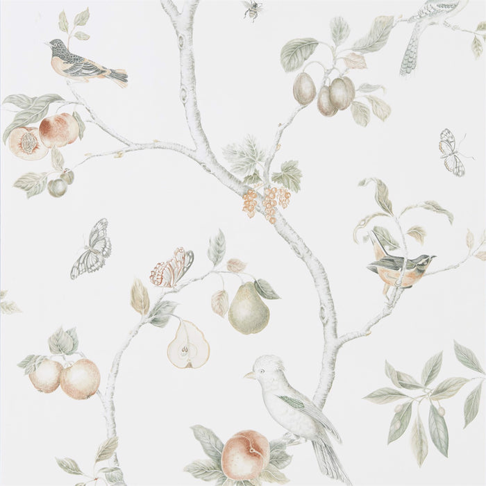 Fruit Aviary Ivory/Mineral Wallpaper