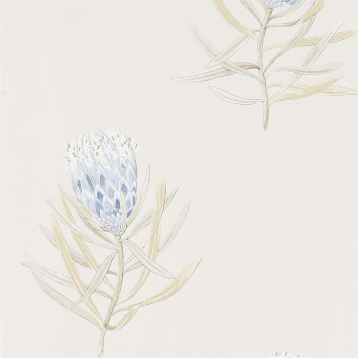 Protea Flower China Blue/Canvas Wallpaper