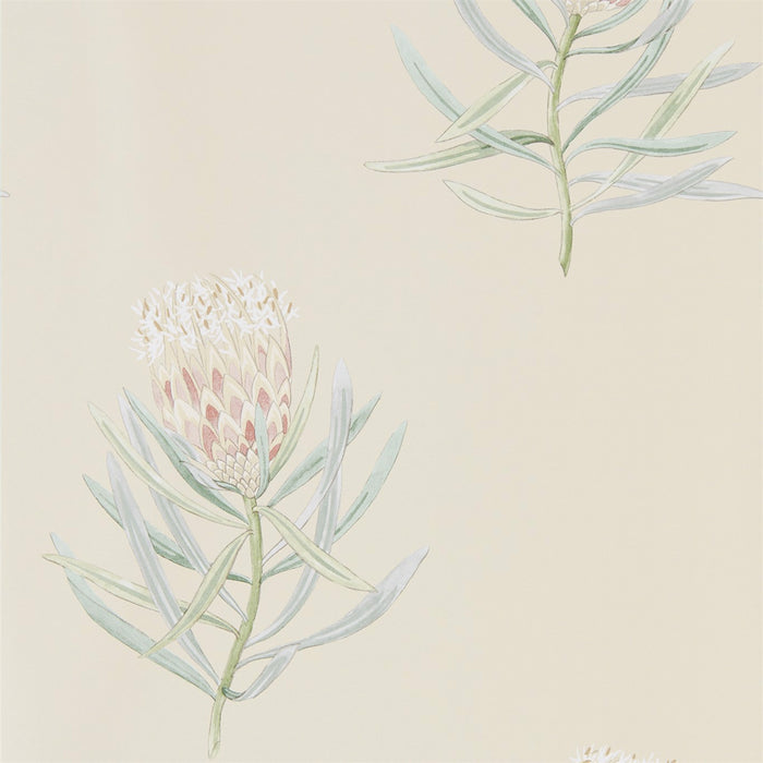 Protea Flower Russet/Green Wallpaper