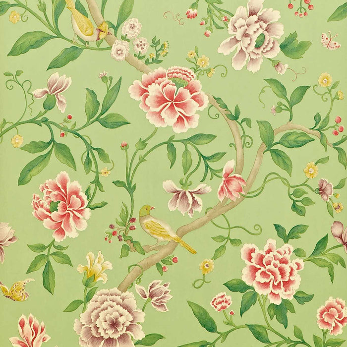 Porcelain Garden Rose/Fennel Wallpaper