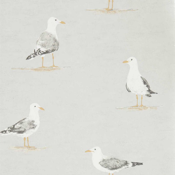 Shore Birds Gull Wallpaper