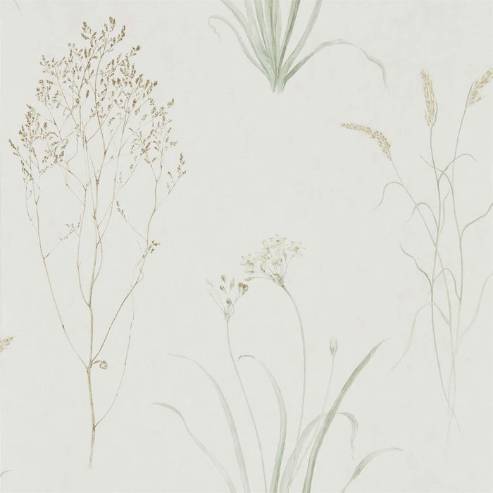 Farne Grasses Willow/Pebble Wallpaper