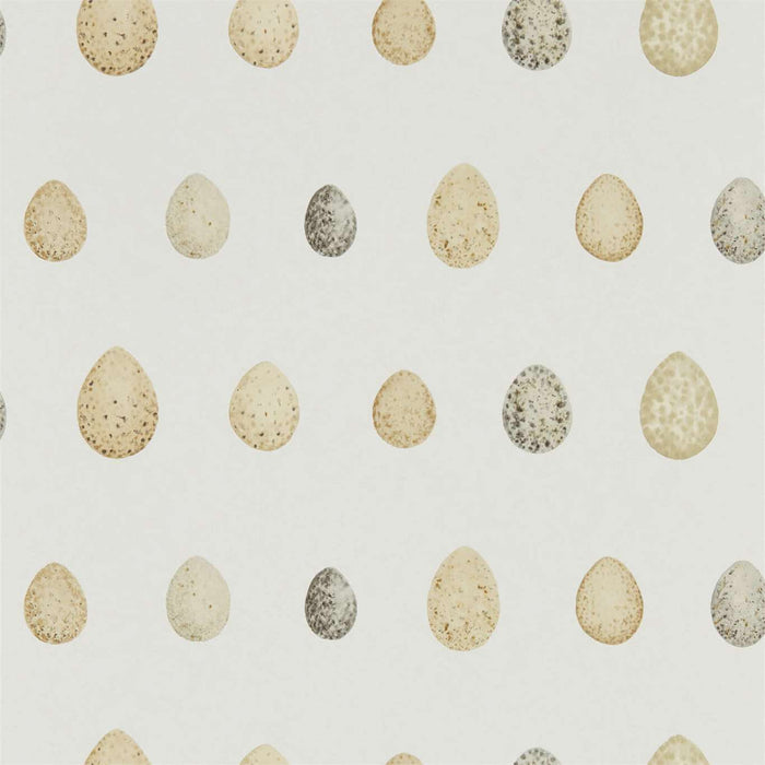 Nest Egg Corn Graphite Wallpaper