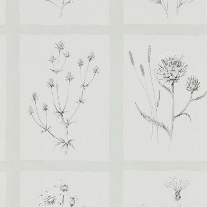 Little Thistles Pewter Wallpaper