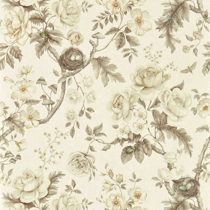 Tansy Bloom Oyster Wallpaper