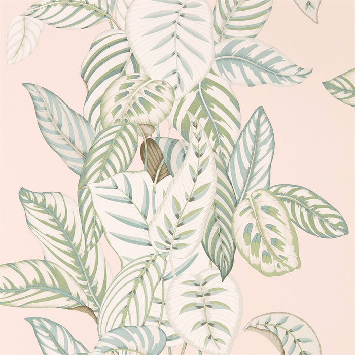 Calathea Orchid/Eucalyptus Wallpaper