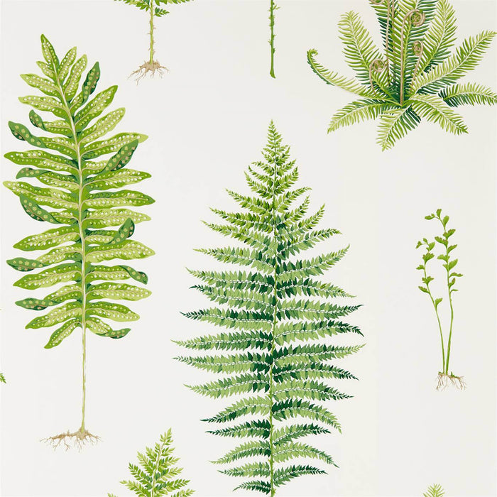 Fernery Botanical Green Wallpaper