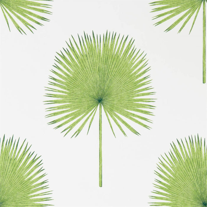 Fan Palm Botanical Green Wallpaper