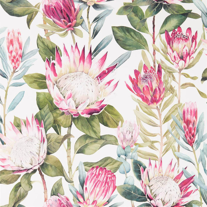 King Protea Rhodera/Cream Wallpaper