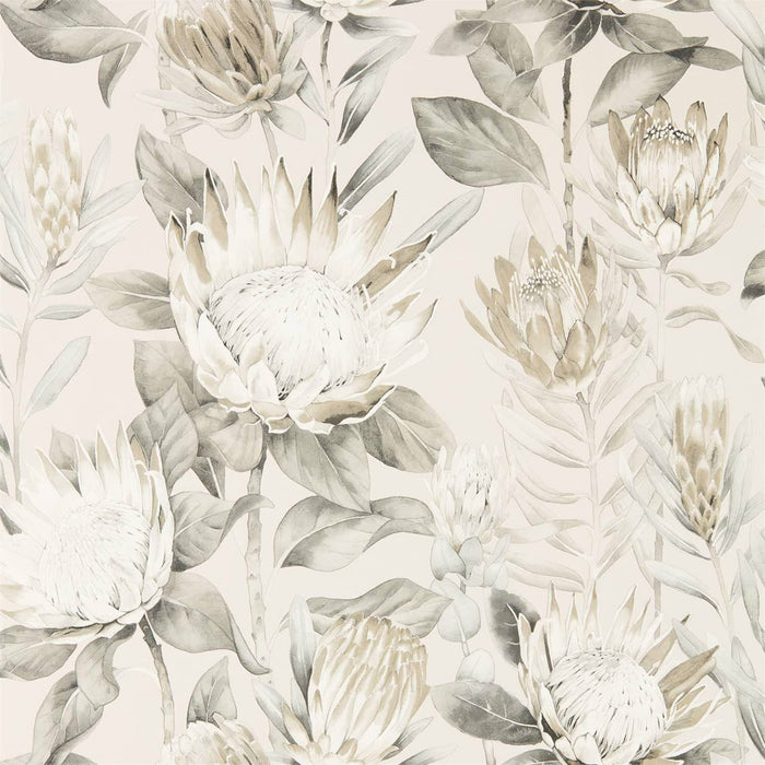 King Protea Linen/Mica Wallpaper