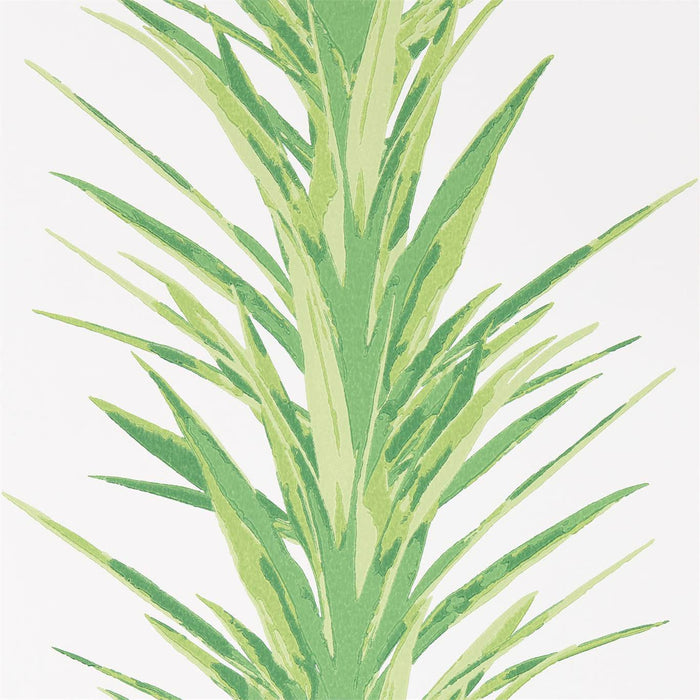 Yucca Botanical Green Wallpaper