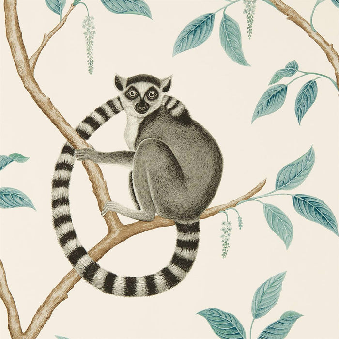 Ringtailed Lemur Stone/Eucalyptus Wallpaper