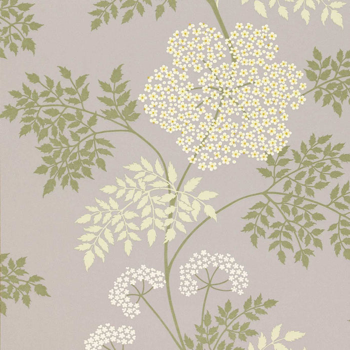 Cowparsley Amethyst Wallpaper