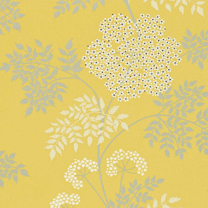 Cowparsley Chinese Yellow Wallpaper