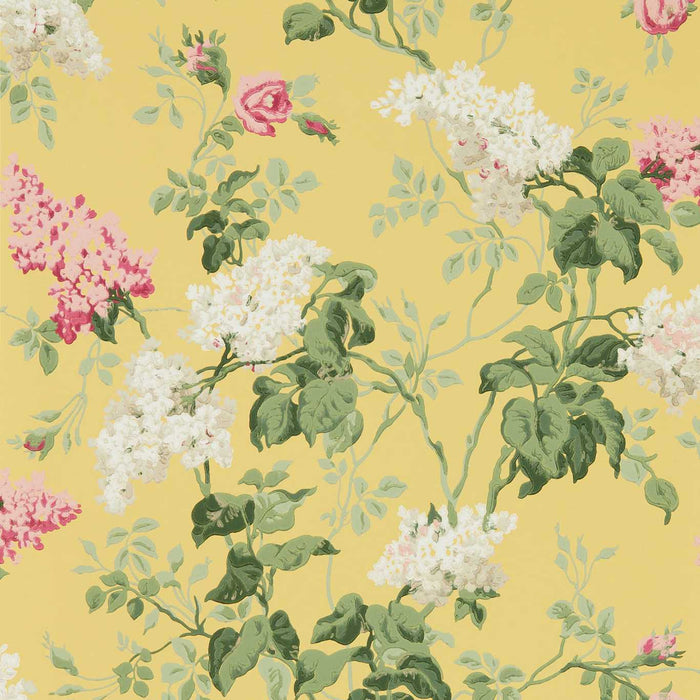 Sommerville Carmen/Daffodil Wallpaper