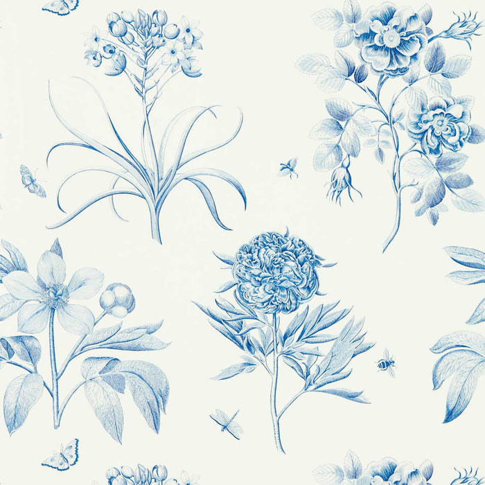 Etchings & Roses China Blue