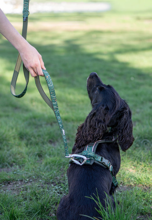 Twiggy Tags Close Control Lead Lagoon