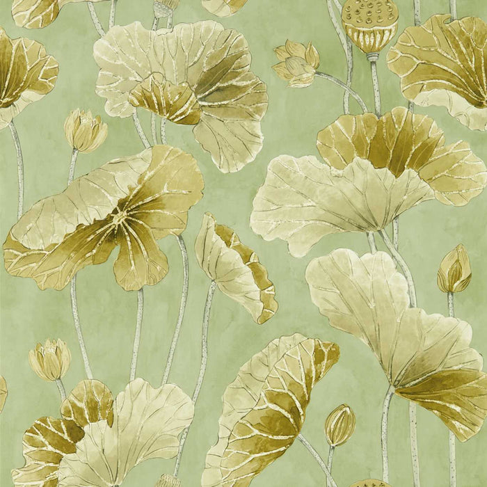 Lotus Leaf Oriental Green/ Olive Wallpaper