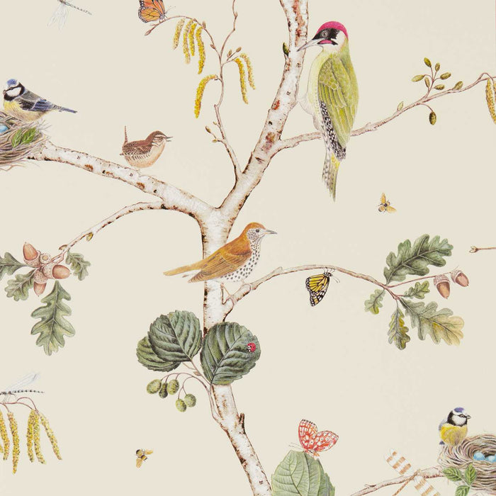 Woodland Chorus Cream/Multi Wallpaper