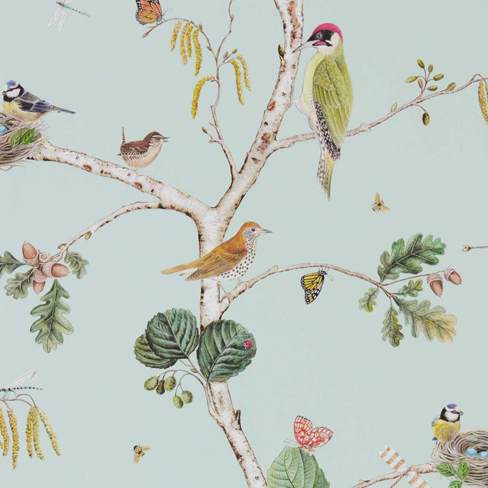 Woodland Chorus Sky Blue/Multi Wallpaper